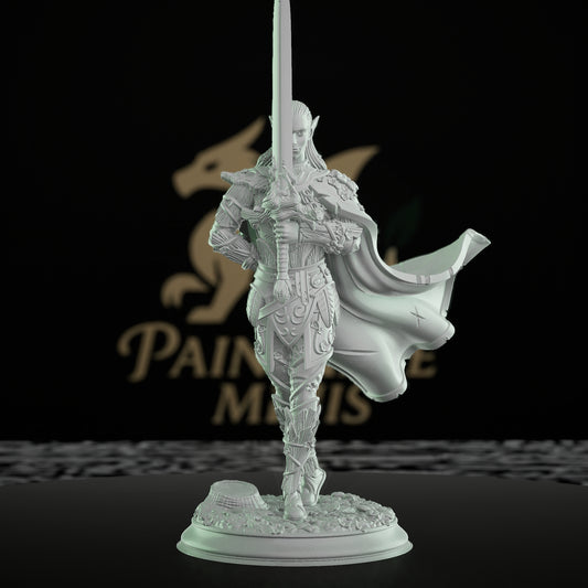 Feywalker Elf Swordsman Warrior | Medium | DM Stash | D&D DnD Pathfinder Miniature