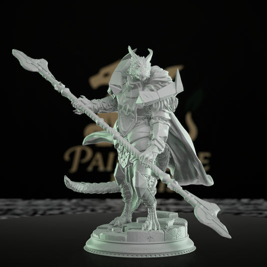Silver Dragonborn Paladin Warrior Miniature | Medium | DM Stash | D&D DnD Pathfinder