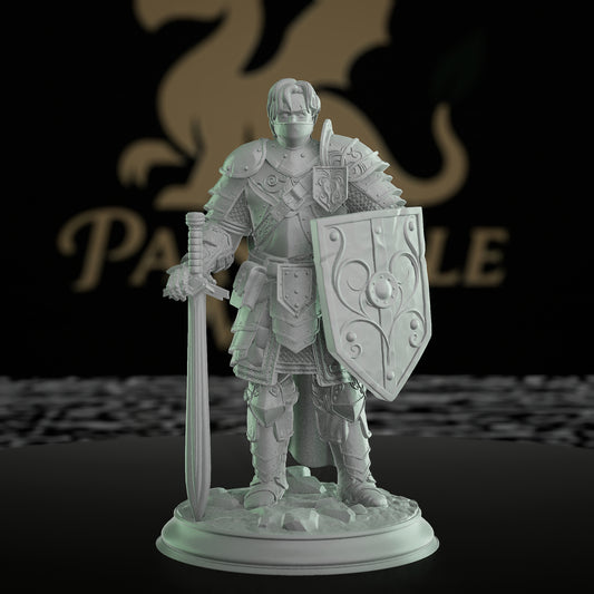 Human Fighter Ornate Armor Sword Shield | Medium | DM Stash | D&D DnD Pathfinder Miniature