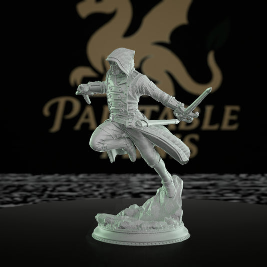 Assassin Rogue Miniature Hooded Vigilante | Medium | DM Stash | D&D DnD Pathfinder Miniature