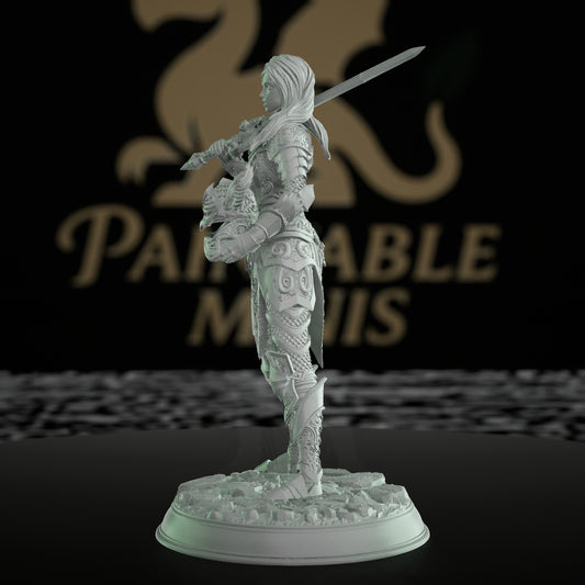 Elven Warrior Paladin Miniature | Medium | DM Stash | D&D DnD Pathfinder Miniature