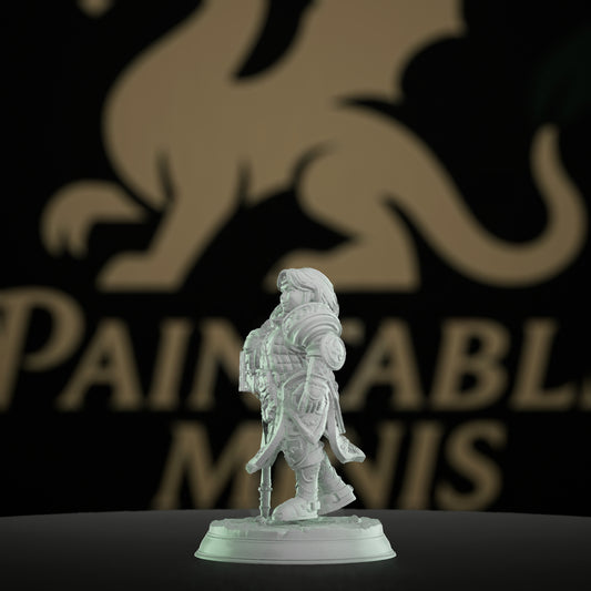 Dwarven Paladin Warrior Hammer | Medium | DM Stash | D&D DnD Pathfinder Miniature