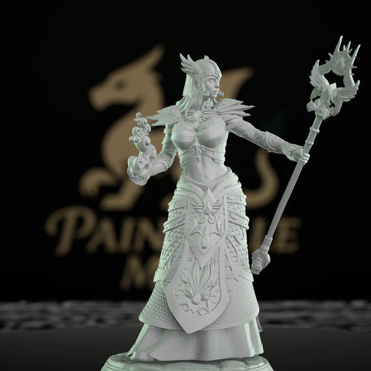 High Elf Sorcerer Spellcaster Miniature | Medium | DM Stash | D&D DnD Pathfinder Miniature