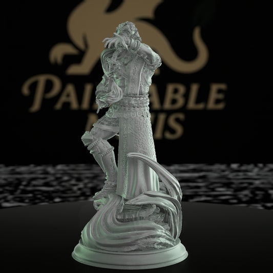 Tiefling Infernal Sorcerer Miniature | Medium | DM Stash | D&D DnD Pathfinder Miniature