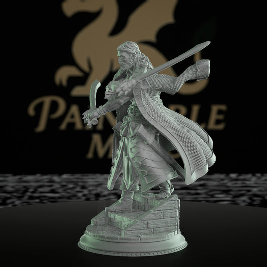 Ignacio Hexhunter Spellblade Sorcerer | Medium | DM Stash | D&D DnD Pathfinder Miniature