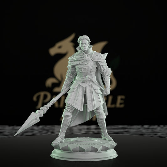 Human Warrior Polearm Fighter | Medium | DM Stash | D&D DnD Pathfinder Miniature
