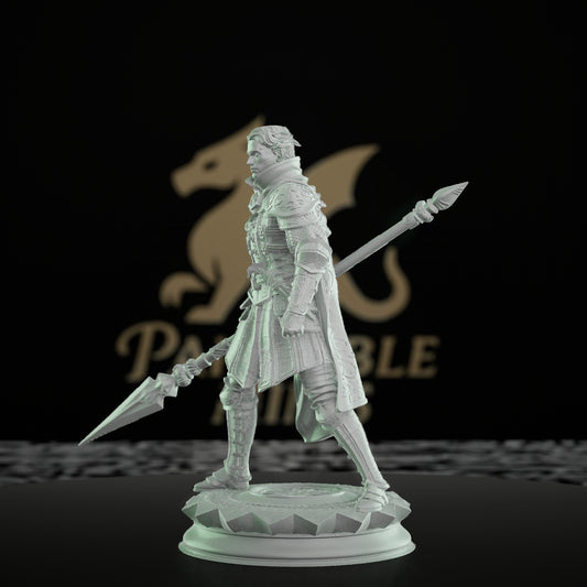 Human Warrior Polearm Fighter | Medium | DM Stash | D&D DnD Pathfinder Miniature