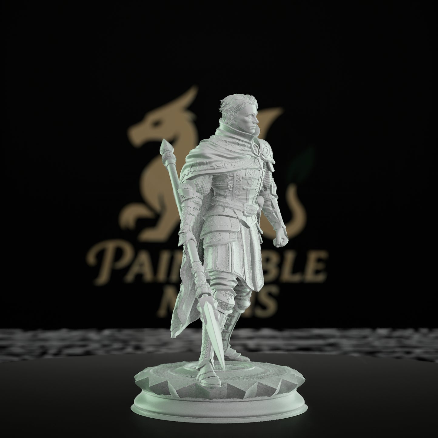 Human Warrior Polearm Fighter | Medium | DM Stash | D&D DnD Pathfinder Miniature