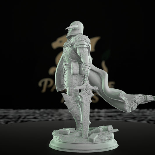 Paladin Warrior Shield Armor | Medium | DM Stash | D&D DnD Pathfinder Miniature