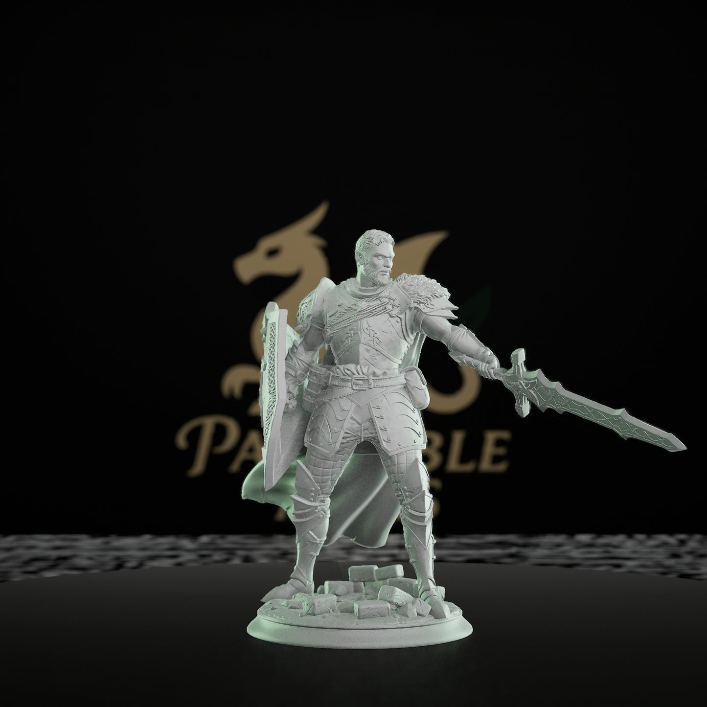 Paladin Sword Shield Warrior | Medium | DM Stash | D&D DnD Pathfinder Miniature