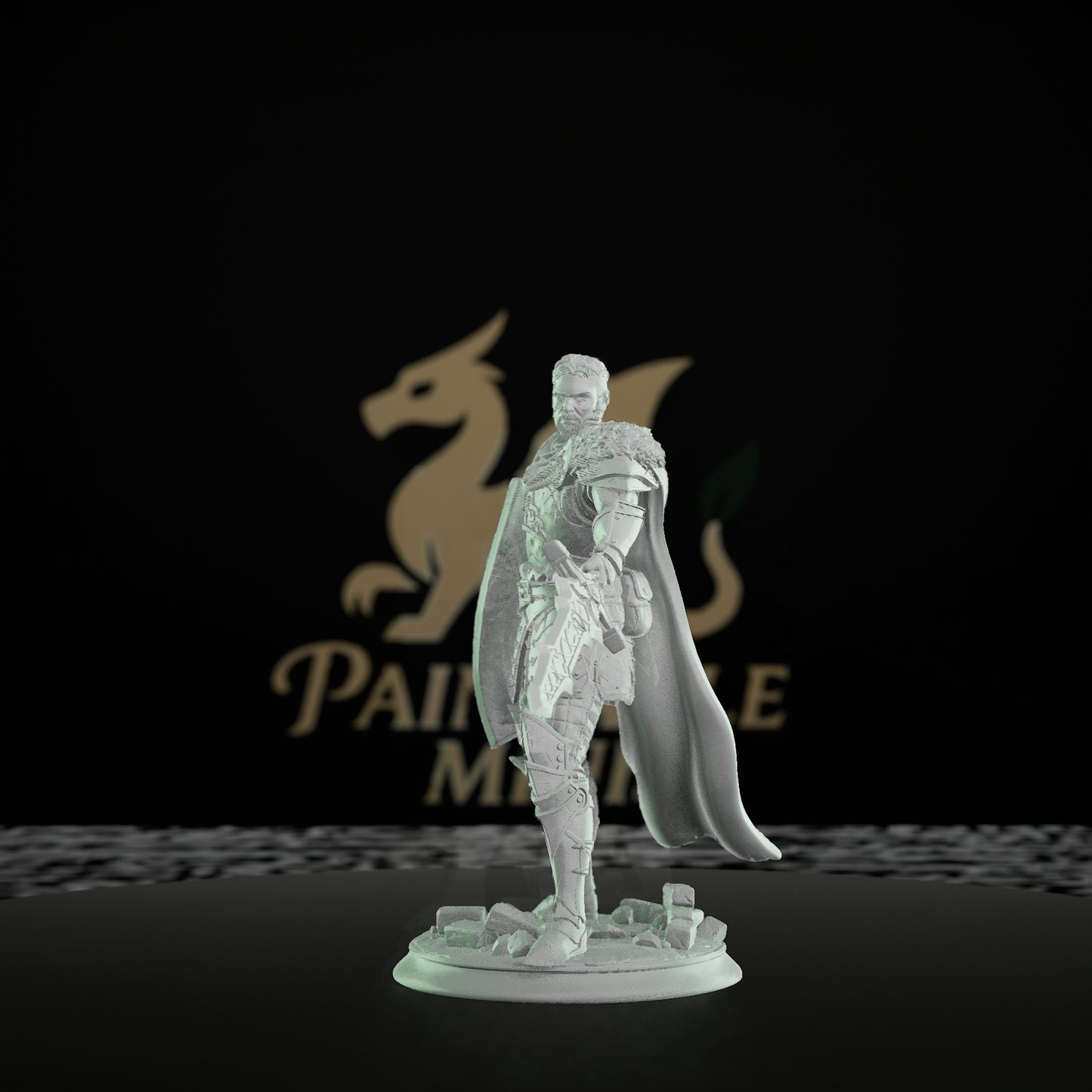 Paladin Sword Shield Warrior | Medium | DM Stash | D&D DnD Pathfinder Miniature