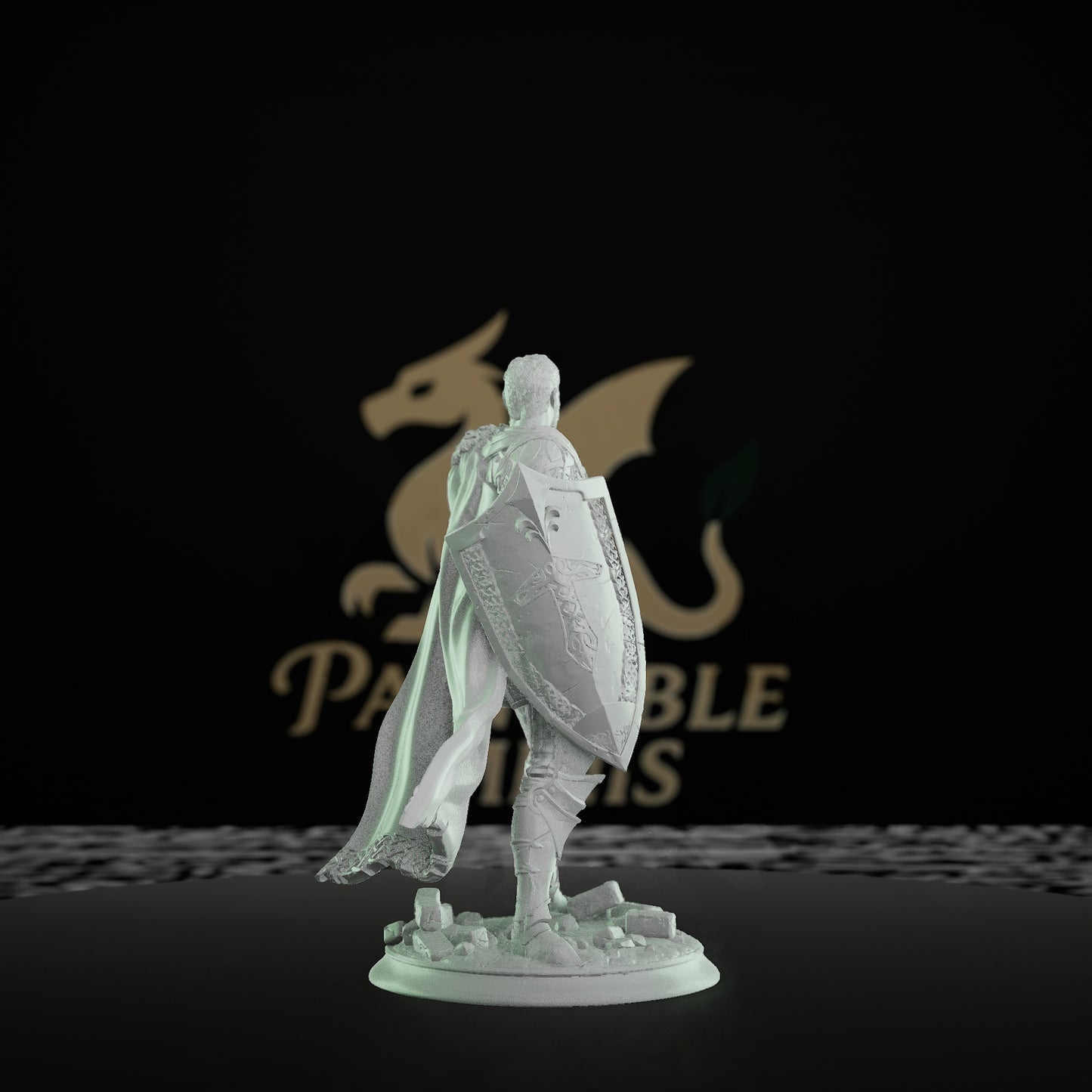 Paladin Sword Shield Warrior | Medium | DM Stash | D&D DnD Pathfinder Miniature