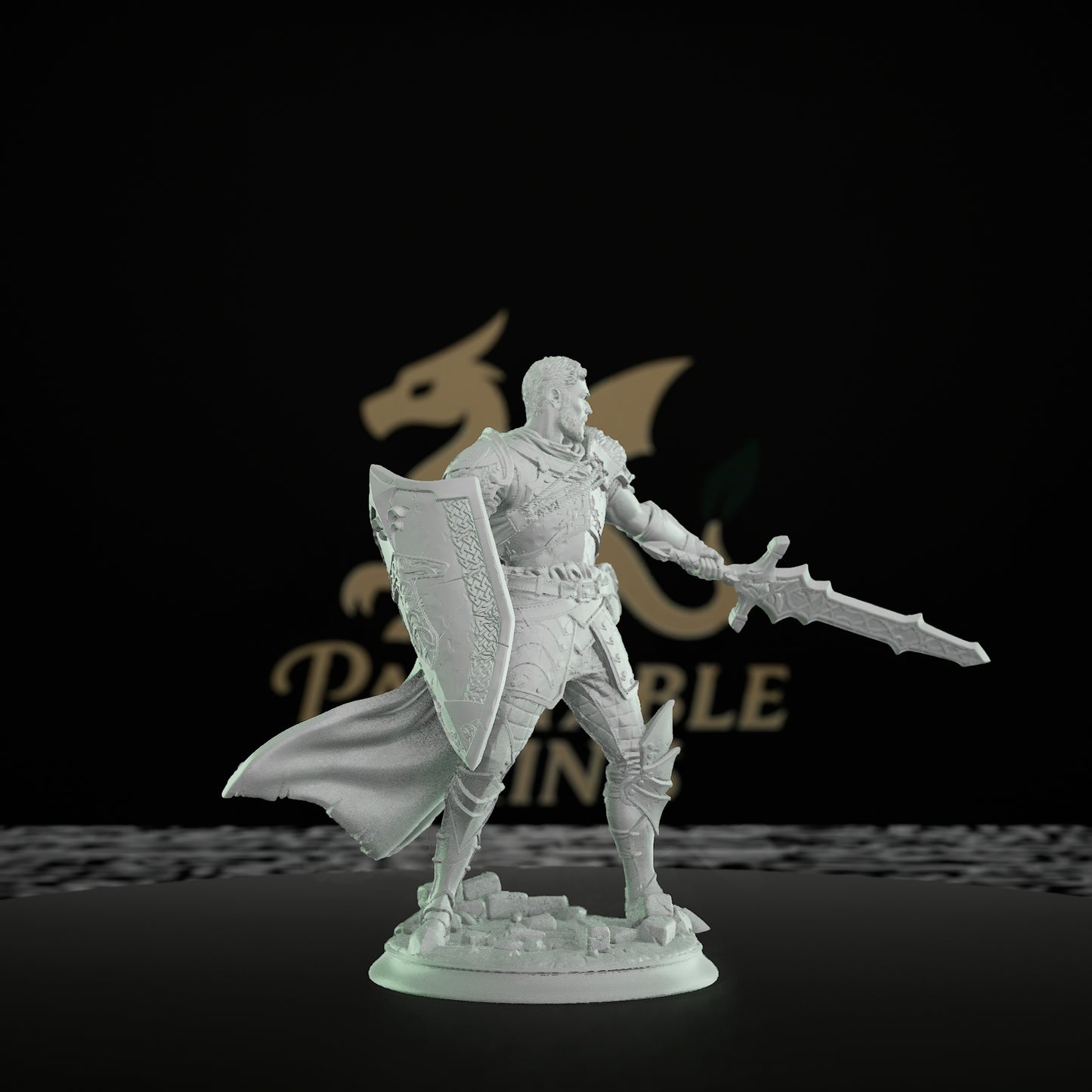 Paladin Sword Shield Warrior | Medium | DM Stash | D&D DnD Pathfinder Miniature