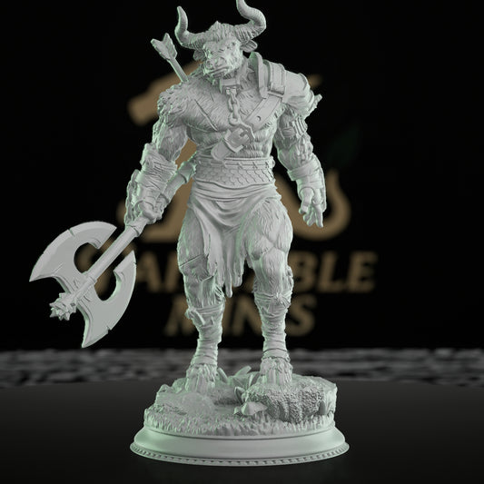 Minotaur Warrior Beast Fighter | Medium | DM Stash | D&D DnD Pathfinder Miniature