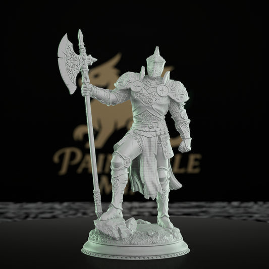 Knight Bodyguard Guard Pose Fighter | Medium | DM Stash | D&D DnD Pathfinder Miniature