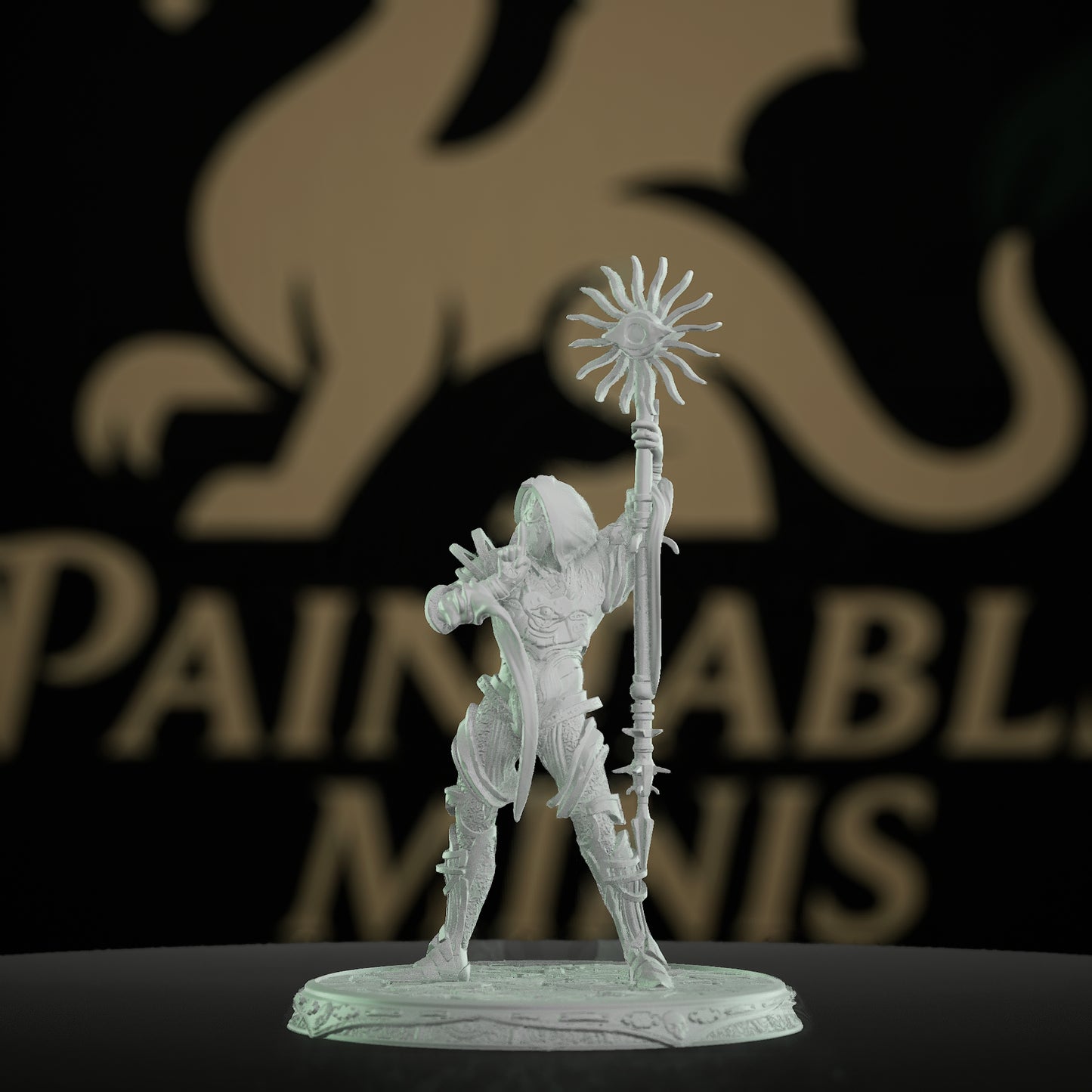 Watcher Mage Sorcerer Miniature | Medium | DM Stash | D&D DnD Pathfinder Miniature