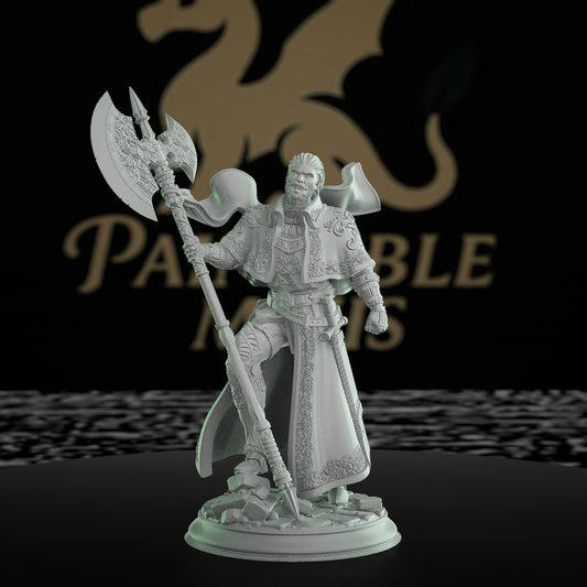 Inquisitor Warrior Miniature | Dungeons and Dragons Model | Tabletop RPG Figurine