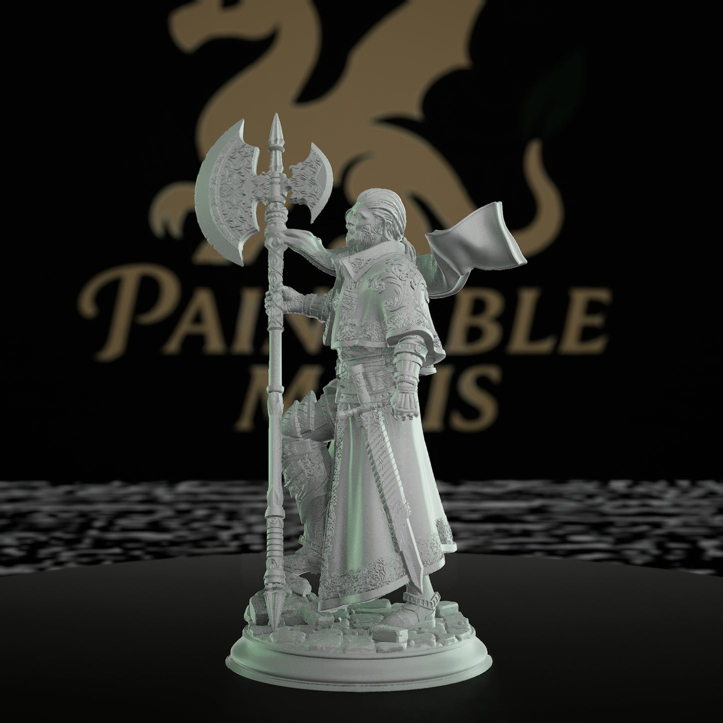 Inquisitor Warrior Miniature | Dungeons and Dragons Model | Tabletop RPG Figurine