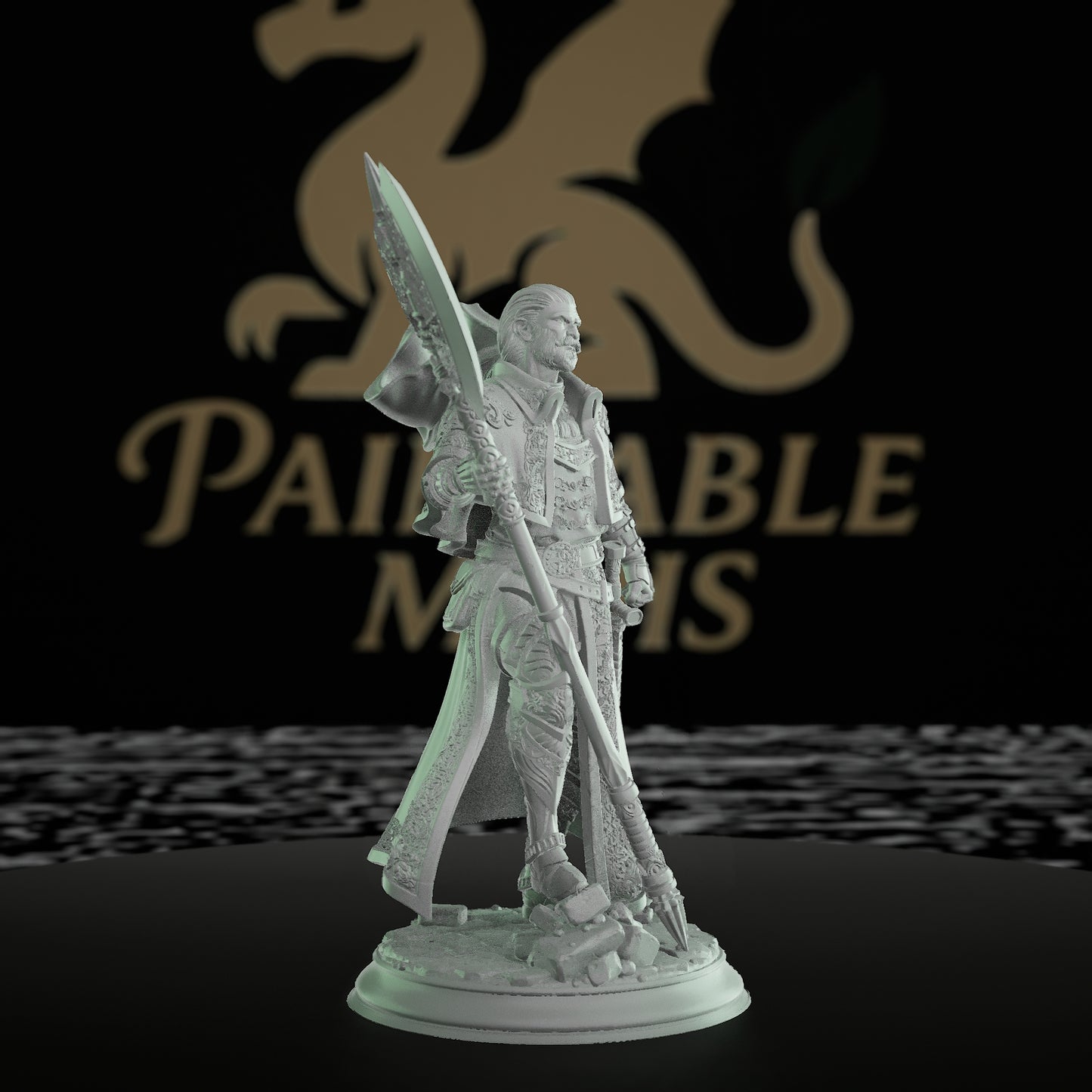 Inquisitor Warrior Miniature | Dungeons and Dragons Model | Tabletop RPG Figurine