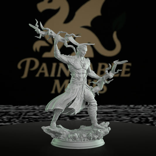 Dragon Sorcerer Model Magic | Medium | DM Stash | D&D DnD Pathfinder Miniature