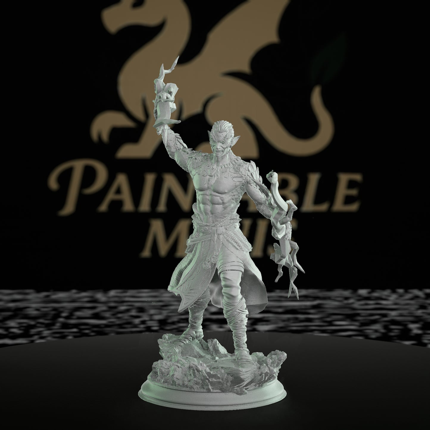 Dragon Sorcerer Model Magic | Medium | DM Stash | D&D DnD Pathfinder Miniature