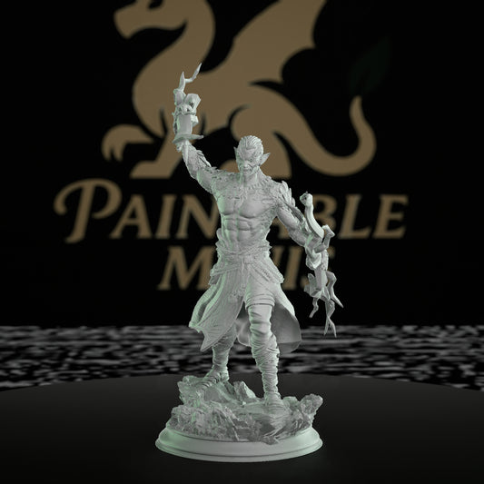 Dragon Sorcerer Model Magic | Medium | DM Stash | D&D DnD Pathfinder Miniature