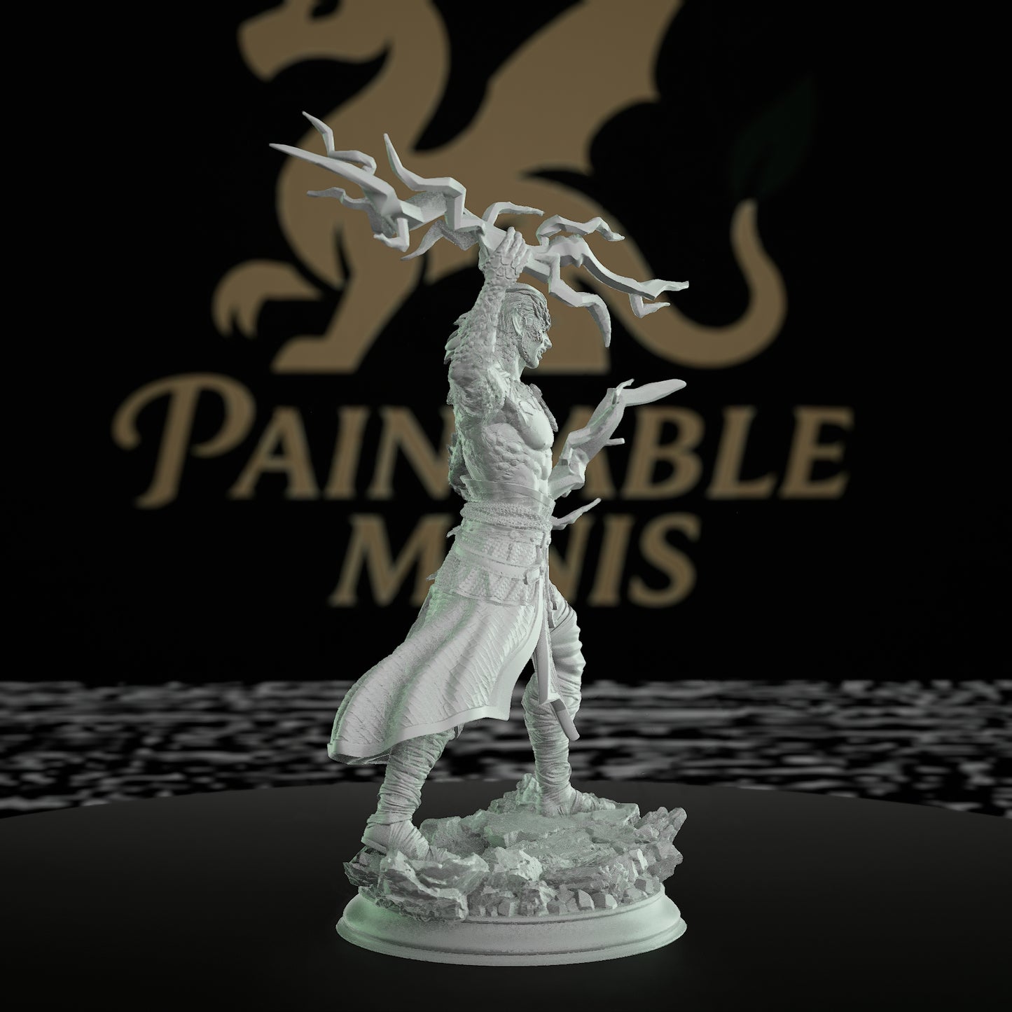 Dragon Sorcerer Model Magic | Medium | DM Stash | D&D DnD Pathfinder Miniature