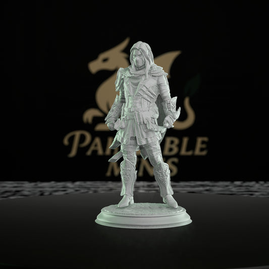 Elven Rogue RPG Miniature | Medium | DM Stash | D&D DnD Pathfinder Miniature
