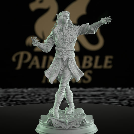 Elven Sorcerer Merchant Miniature | Medium | DM Stash | D&D DnD Pathfinder Miniature