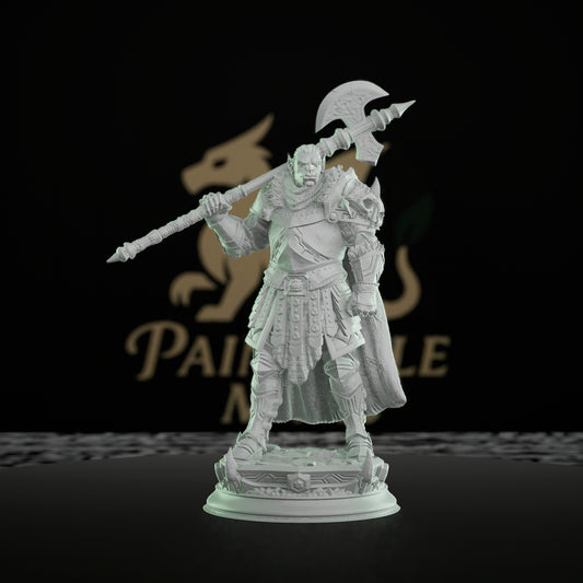 Orc Warrior Double-Bladed Axe | Medium | DM Stash | D&D DnD Pathfinder Miniature