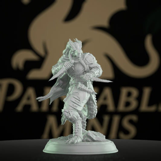 Dragonkin Rogue Fantasy Miniature | Medium | DM Stash | D&D DnD Pathfinder Miniature