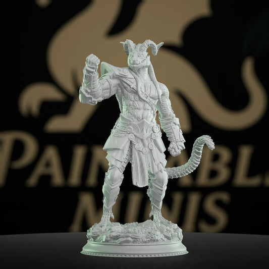 Dragonborn Enforcer Miniature Fighter | Medium | DM Stash | D&D DnD Pathfinder Miniature