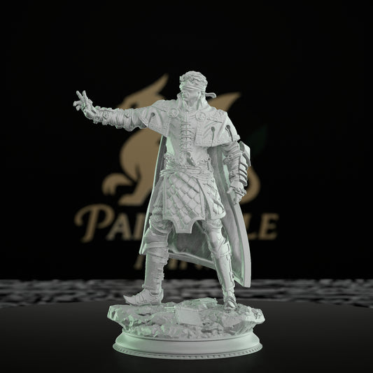 Psionic Half-Elf Inquisitor Warrior | Medium | DM Stash | D&D DnD Pathfinder Miniature