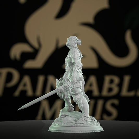 Female Warrior Fighter Hero Miniature | Medium | DM Stash | D&D DnD Pathfinder Miniature