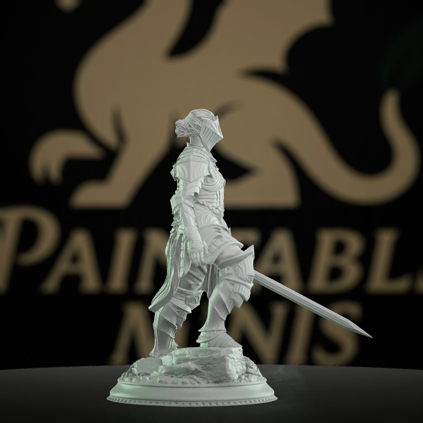 Female Warrior Fighter Hero Miniature | Medium | DM Stash | D&D DnD Pathfinder Miniature