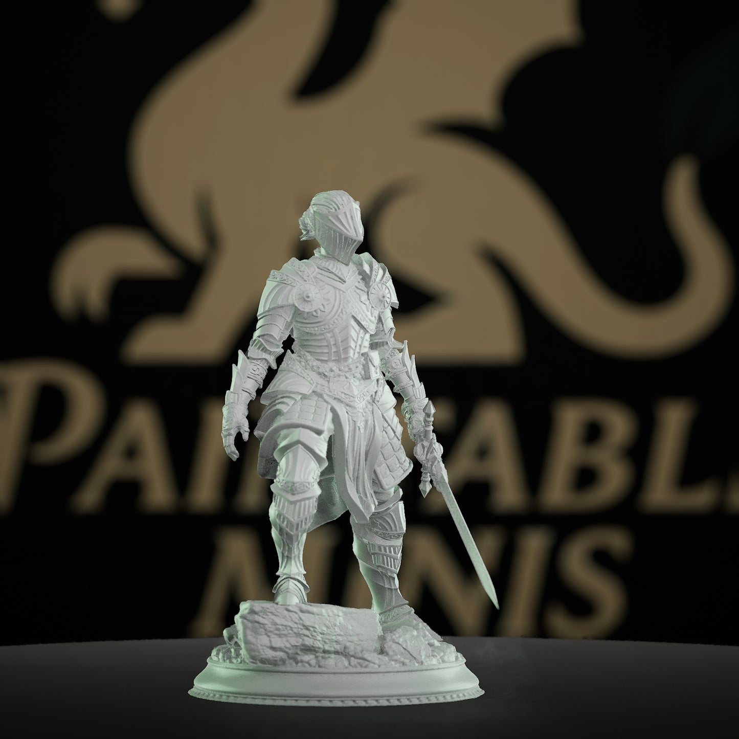 Female Warrior Fighter Hero Miniature | Medium | DM Stash | D&D DnD Pathfinder Miniature
