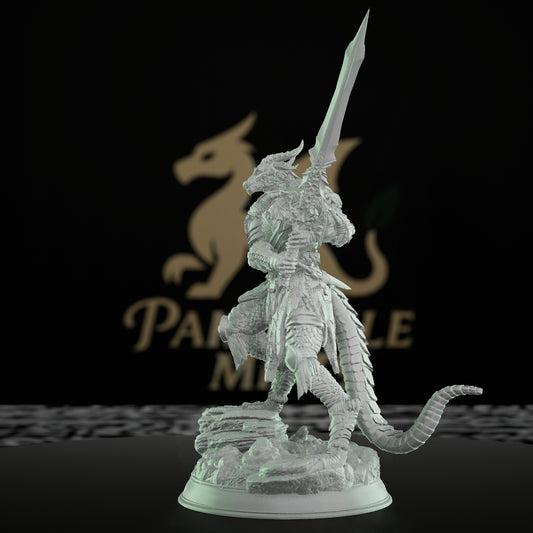 Dragonborn Warrior Sword Armor | Medium | DM Stash | D&D DnD Pathfinder Miniature