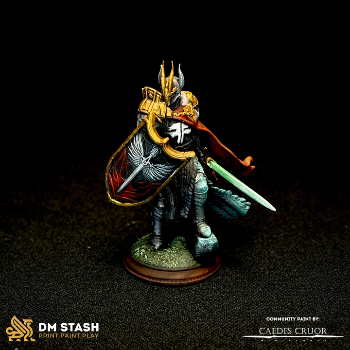 Enlightened Paladin Holy Warrior Guard | Medium | DM Stash | D&D DnD Pathfinder Miniature