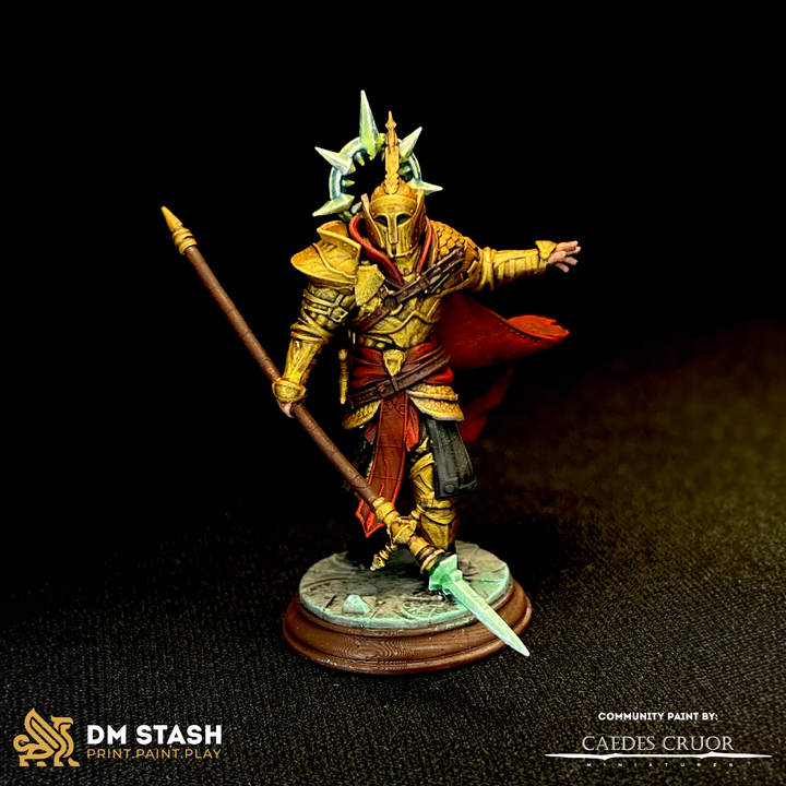 Bodyguard Knight Fighter Guard | Medium | DM Stash | D&D DnD Pathfinder Miniature