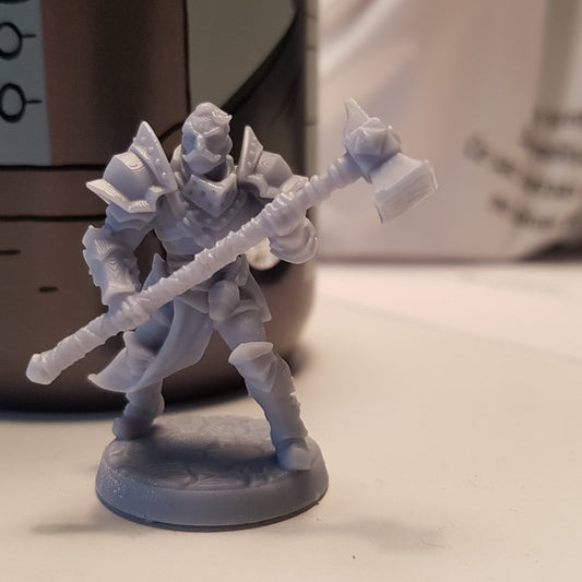 Human Fighter - Guard (25mm Base)