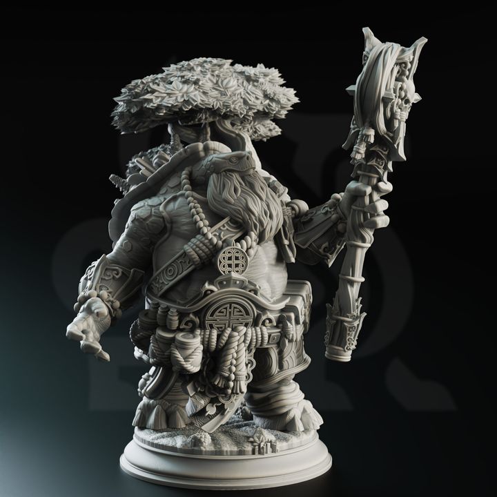 Tortle Wizard Spellcaster Magic | Medium | DM Stash | D&D DnD Pathfinder Miniature