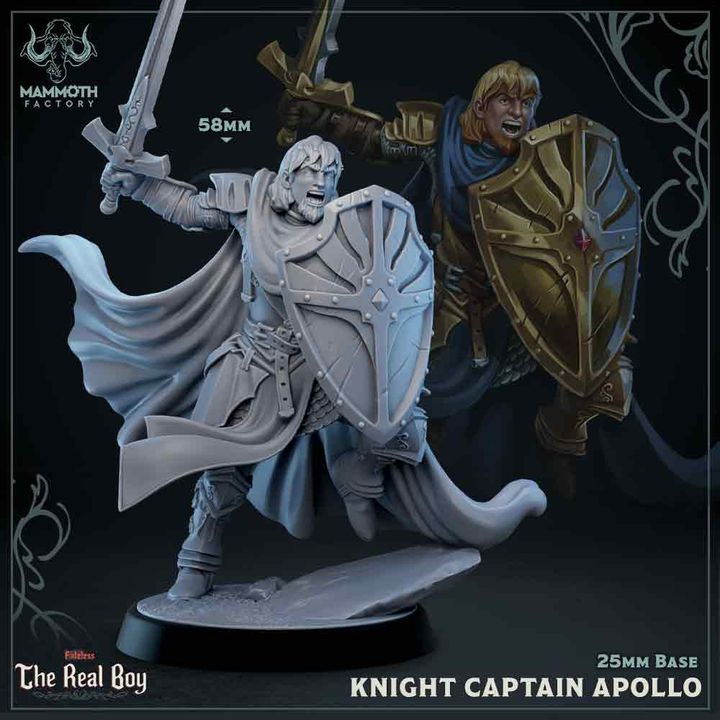 Knight Fighter Paladin Defender | Medium | Mammoth Factory | D&D DnD Pathfinder Miniature