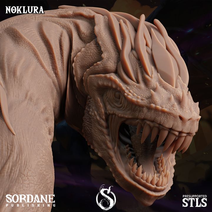 Noklura - Coiling (50mm Base)
