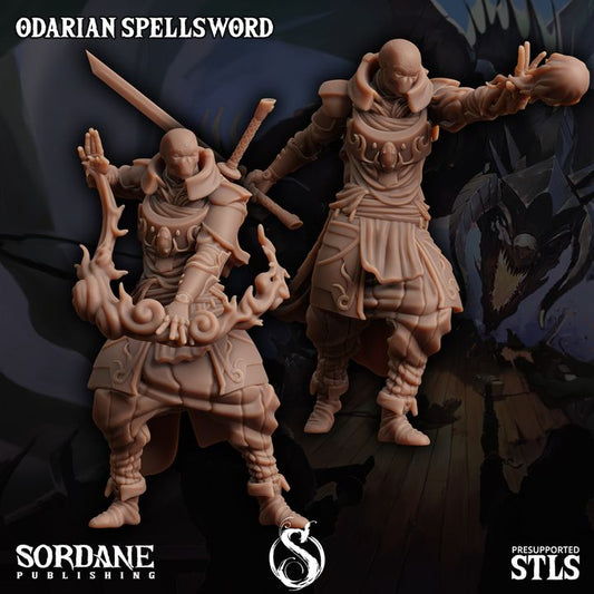 Odarian Spellsword - Casting (25mm Base)