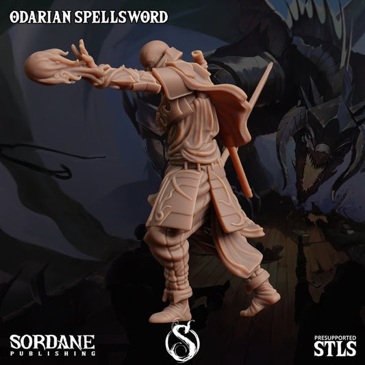 Odarian Spellsword - Casting (25mm Base)