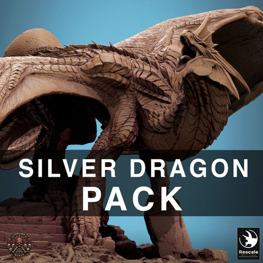 Collection Silver Dragon Miniature | Huge | Rescale Miniatures | D&D DnD Pathfinder Miniature