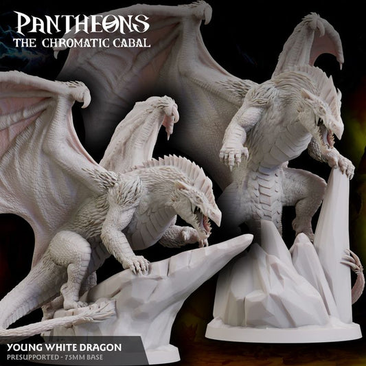 Young White Dragon - Roaring (75mm Base)