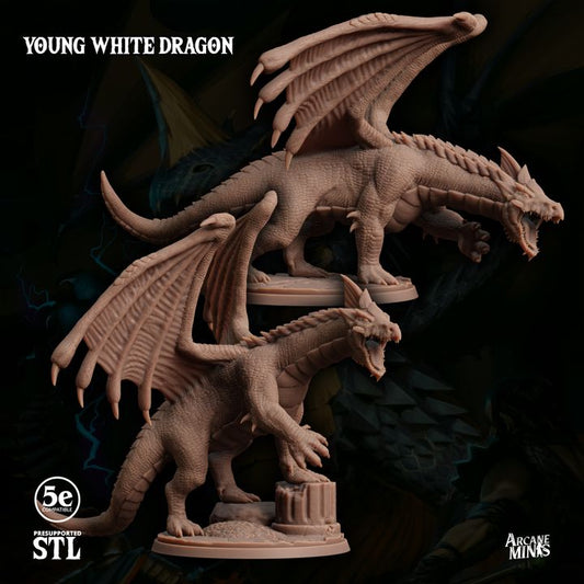 Young White Dragon - Roaring (50mm Base)