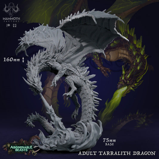 Adult Tarralith Dragon - Roaring (75mm Base)