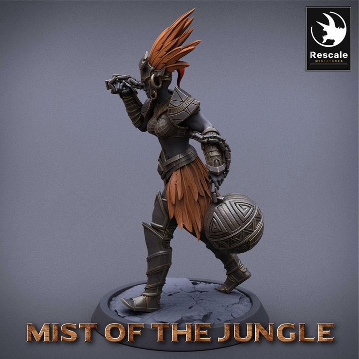 Amazon Warrior Fighter Armor | Medium | Rescale Miniatures | D&D DnD Pathfinder Miniature